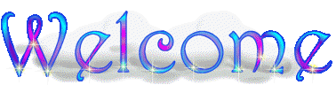 Free Java Chat from Bravenet.com